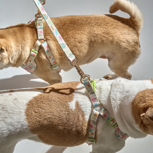 Sunraymascota Arneses Para Mascotas Arnés para perros Fabricantes Personalizado Arnés para perros Floral Arnés para perros de lujo - Product Image 6