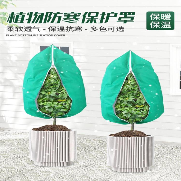 Menta