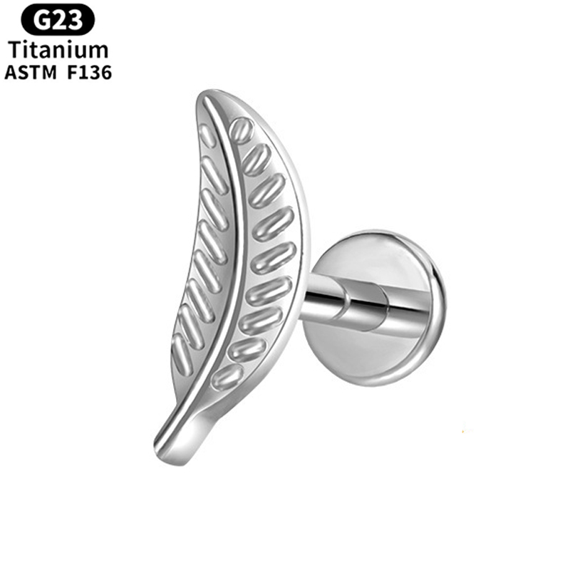 Plata Tipo 2