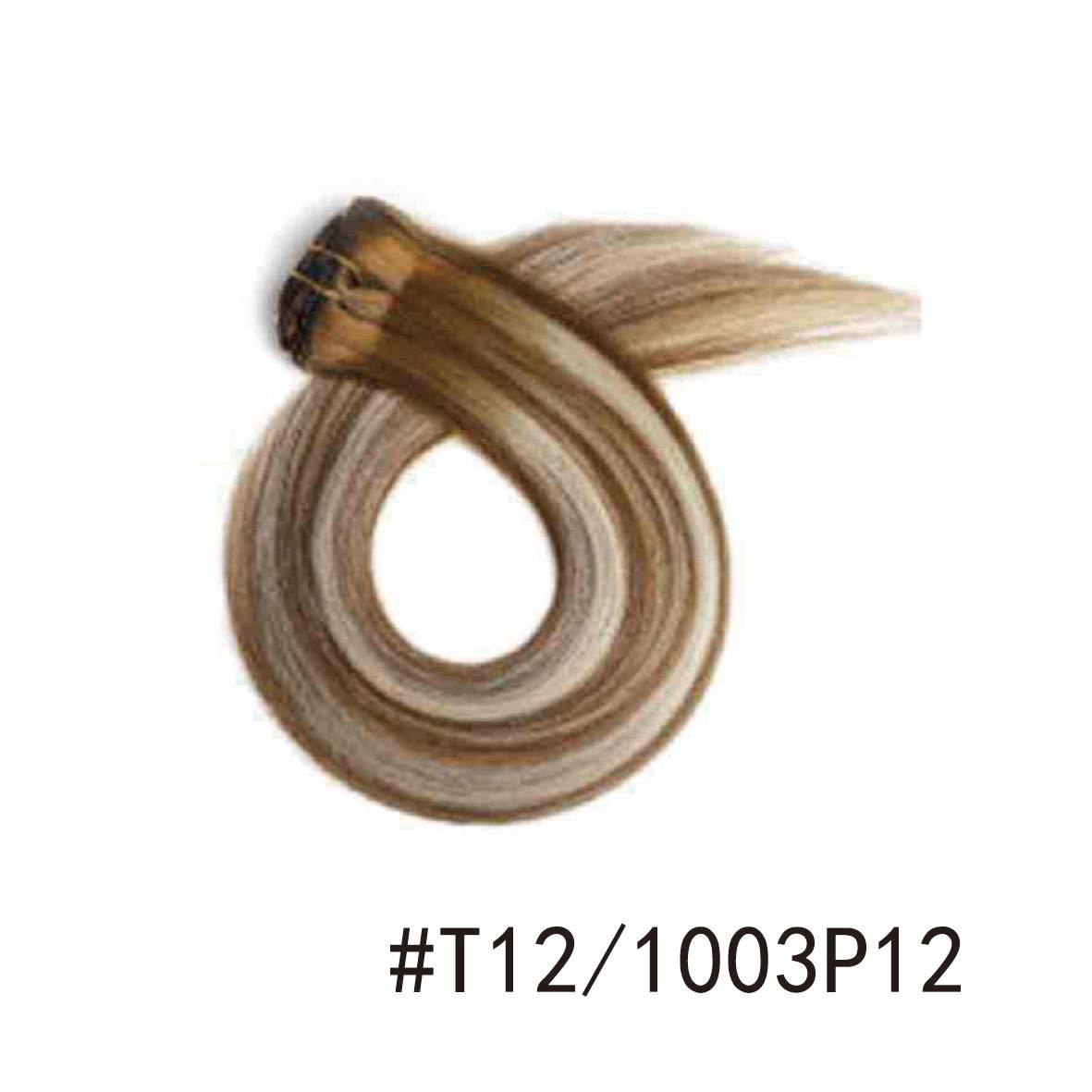 T12/1003P12