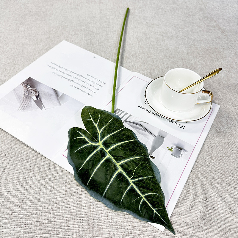 Feuille de taro de couleur unique vert foncé