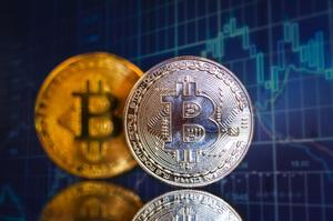 Best User Interface Easy to Use Coin Creation Development Online Software Development From Indian <strong>Designer</strong>