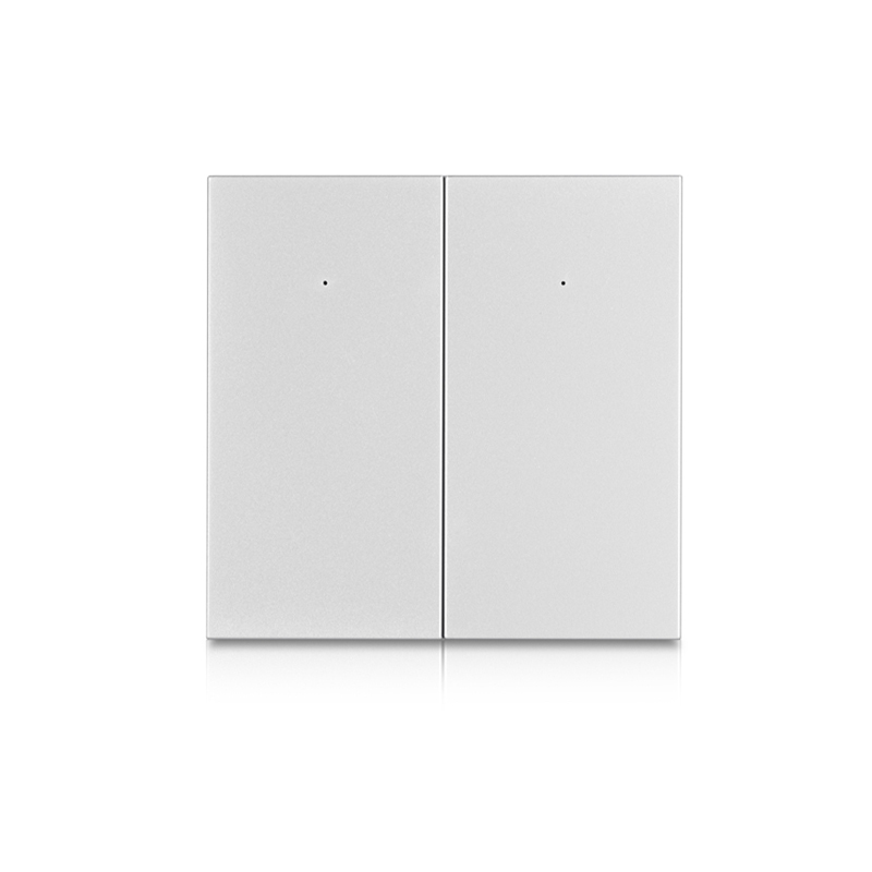 Silver gray-2 gang