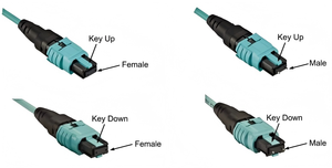 Customized 8 Core 12 Core 24 Core Multimode OM3 OM4 MPO <strong>MTP</strong> <strong>Trunk</strong> Cable Fiber Optic Patch Cord - Product Image 6