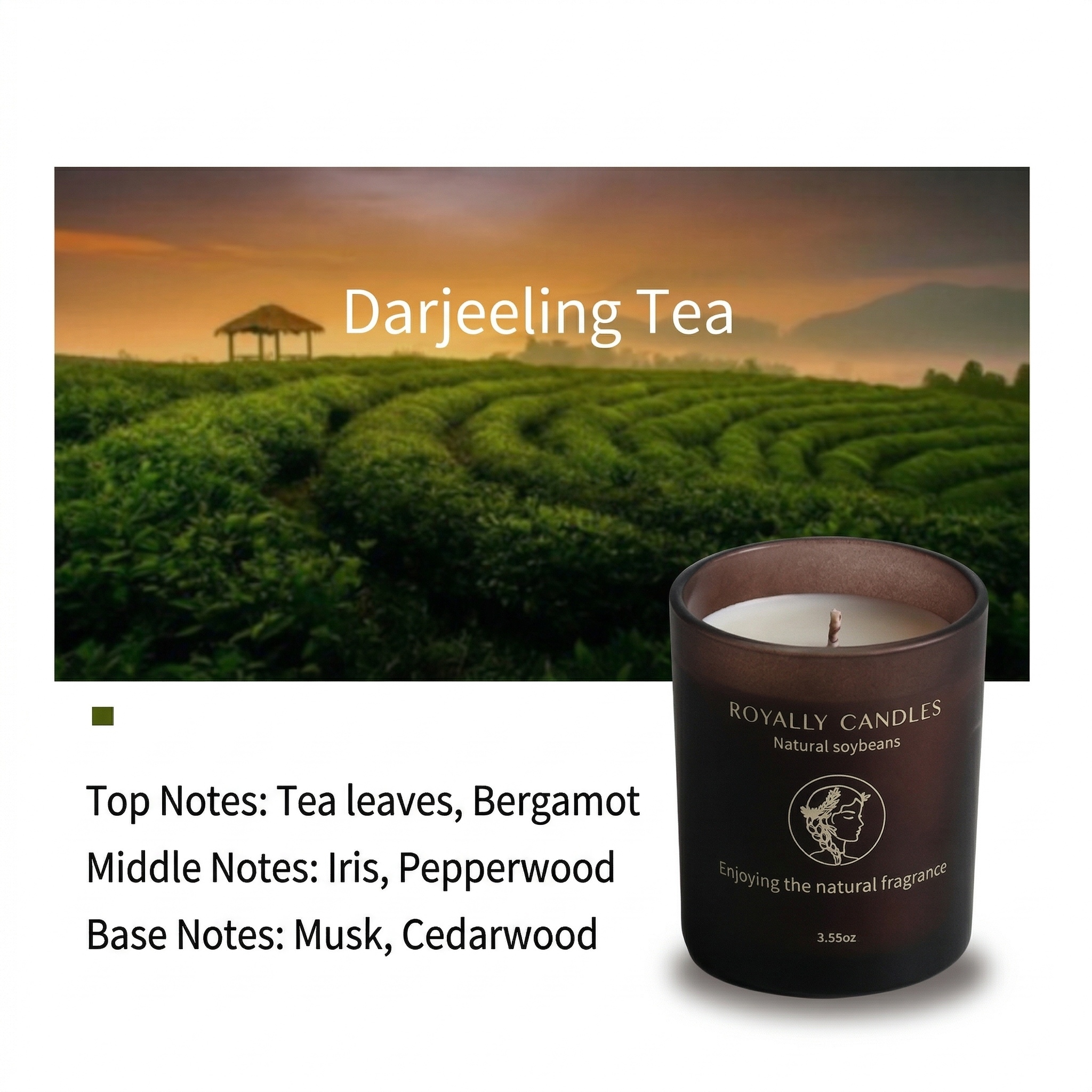 Darjeeling tea 100g
