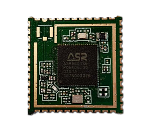 Modulo ricetrasmettitore LoRaWAN RF ad alta efficienza a lungo raggio RFM6601SE con Chipset per applicazioni Wireless