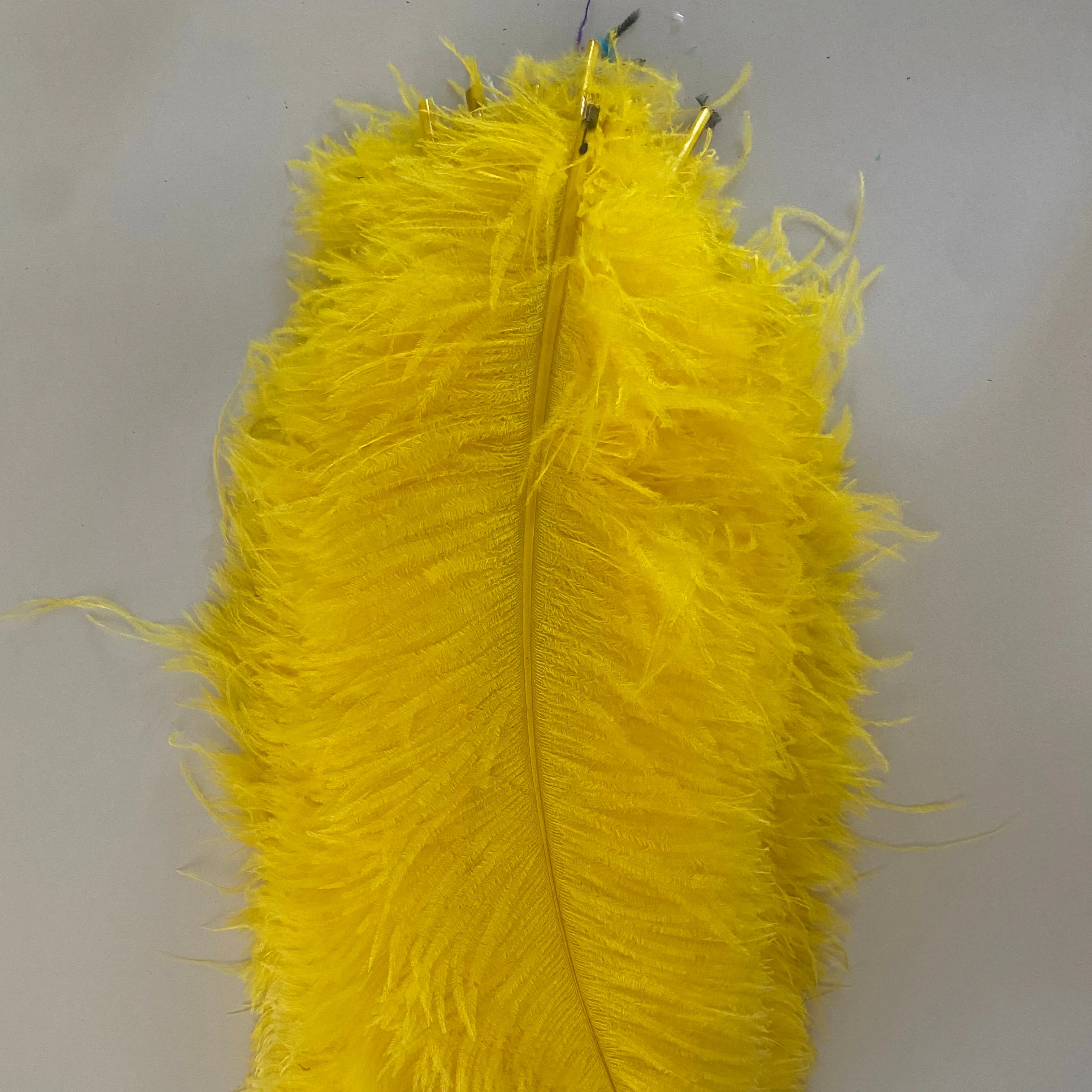 DIY Promotional Top Quality baby raw ostrich feathers in feather colorful ostrich feather