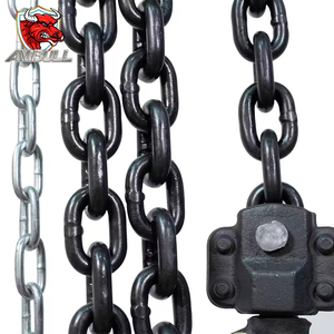 Ambull bán buôn xây dựng hoạt động 10 tấn 20 tấn hsz Hướng dẫn sử dụng chuỗi khối tay Chuỗi Palăng ròng rọc giải quyết Palăng tay chuỗi khối - Product Image 3
