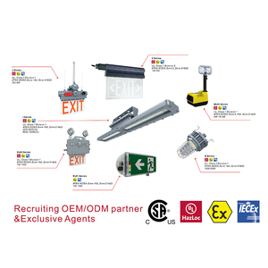 Nhà Máy Giá Explosion Proof Exit ánh sáng khẩn <span class=keywords><strong>c</strong></span>ấp đèn iecex ATEX đượ<span class=keywords><strong>c</strong></span> liệt kê Explosion Proof dẫn ánh sáng khẩn <span class=keywords><strong>c</strong></span>ấp - Product Image 6