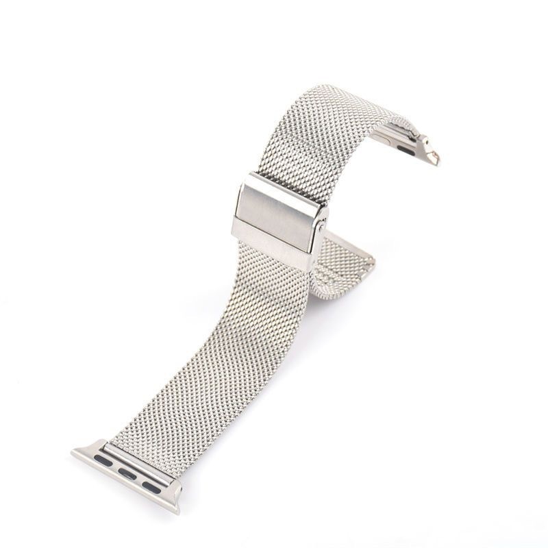 line 06 double-protect buckle-silver