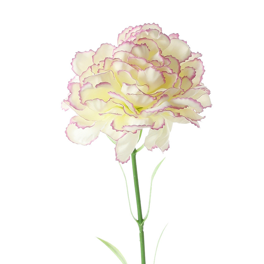 Bord violet