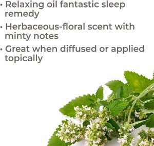 Catnip <strong>Oil</strong> Nepta Cataria <strong>Oil</strong> in Bulk for Mouthwash and Toothpaste/ Catnip Essential <strong>Oil</strong> /Nepeta Catnip <strong>Oil</strong> - Product Image 3