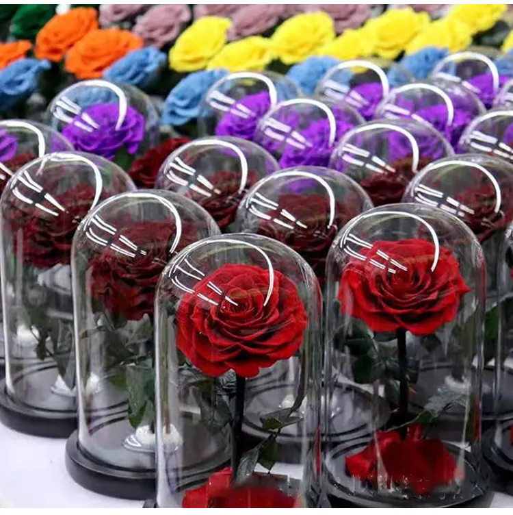 ที่นิยมมากที่สุดของขวัญดอกกุหลาบที่เก็บรักษาไว้กับฐานไม้ดอกกุหลาบที่เก็บรักษาไว้ในโดมแก้ว12 & quot