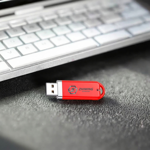 Spedizione gratuita semplice USB personalizzato USB 2.0 Flash Drive 32GB Memory Disk interfaccia Brand Custom grandi quantità prezzo inferiore - Product Image 5