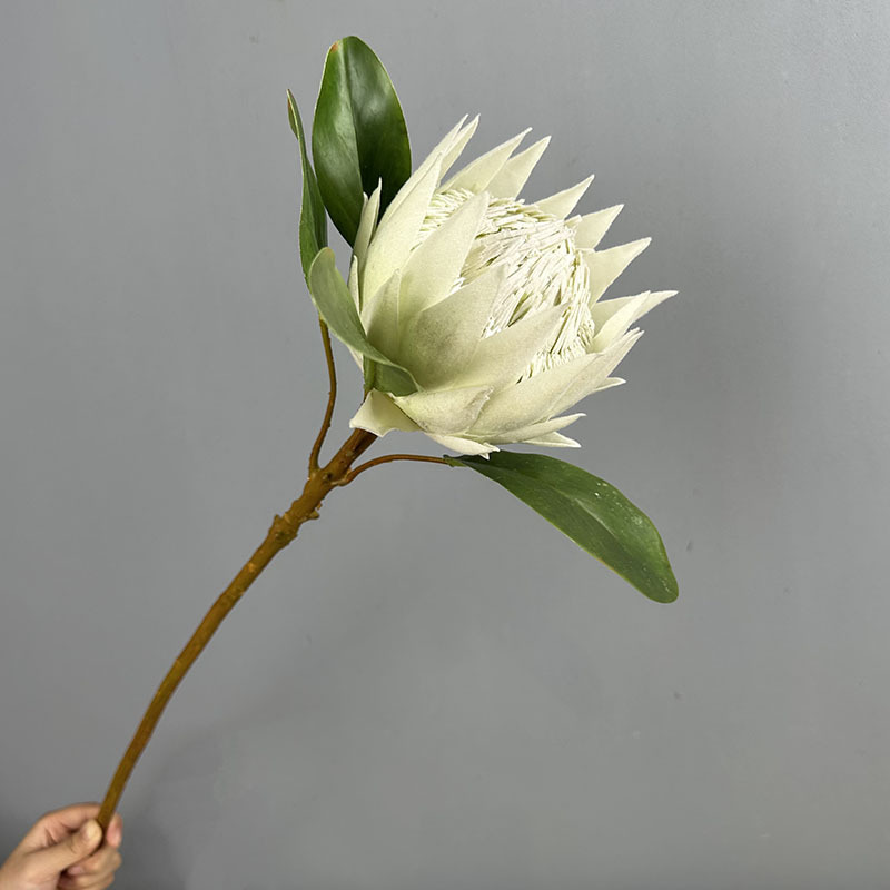 Large size White