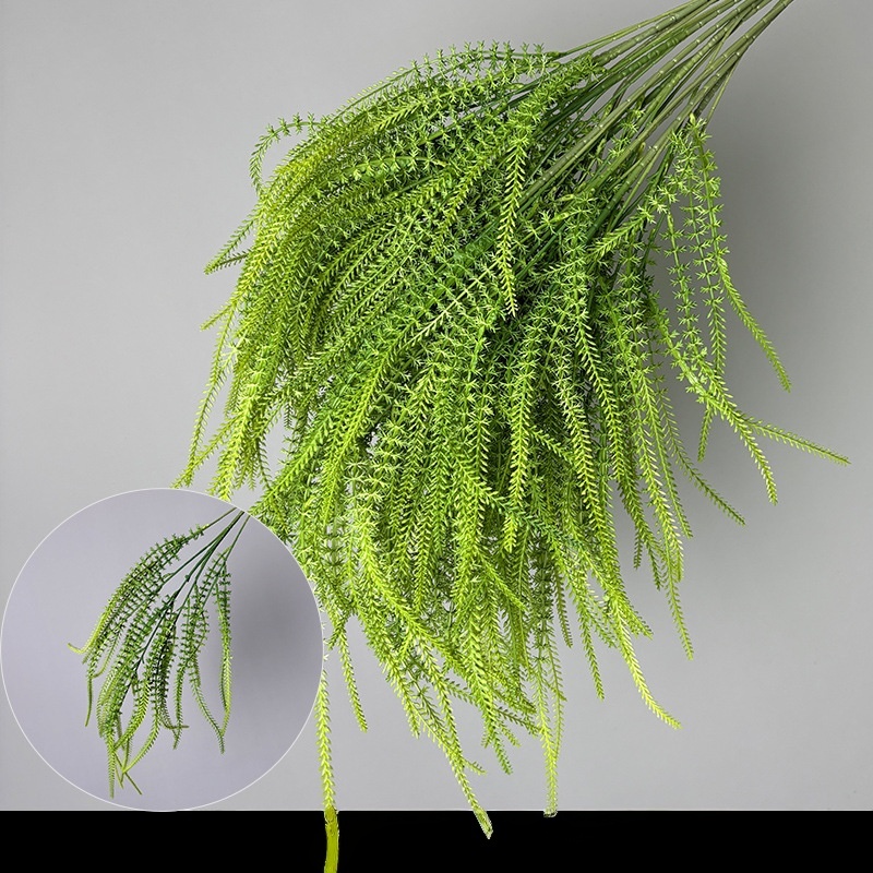 Centipede grass