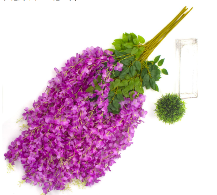 Violet Rouge