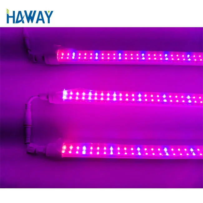 Fabricación de China tubo de horticultura de espectro completo T8 impermeable tubo LED crece la luz del tubo para horticultura