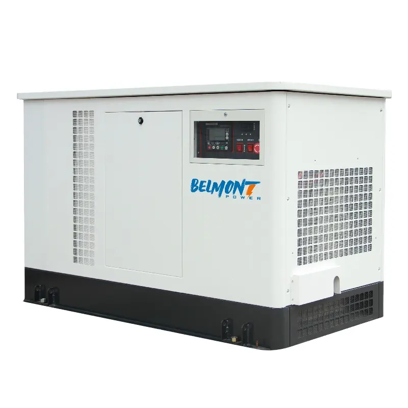 5.5kw 6kw 230V 400V 20kw 22kw 23kw 300kva Aangedreven Omvormer Lpg Generator 10kw Elektrische Thuis Aardgas Generator