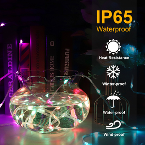 Nuovo RGB SMD 5050 esterno LED striscia di luce intelligente 5V APP di controllo remoto colorato indirizzabile CCT IP65 Home TV DC12V ingresso - Product Image 4