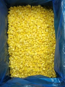 100% 芒果IQF贴牌天然冷冻直接食用24个月保质期IQF甜芒果块冷冻水果 - Product Image 6