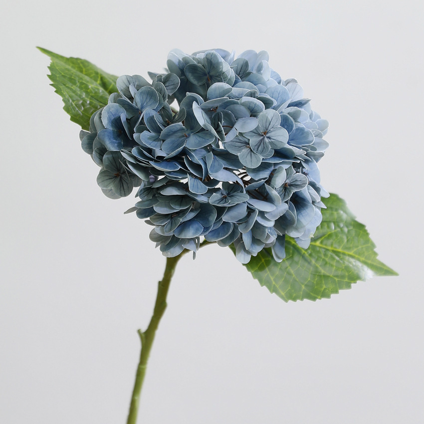 Blu scuro