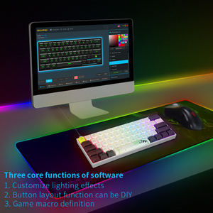 Skylong GK61 61 Tasten optisch verkabelte mechanische Tastatur Hot Swapping RGB Backlist für DIY-Programmierung Alle Tasten funktionieren über einen Treiber