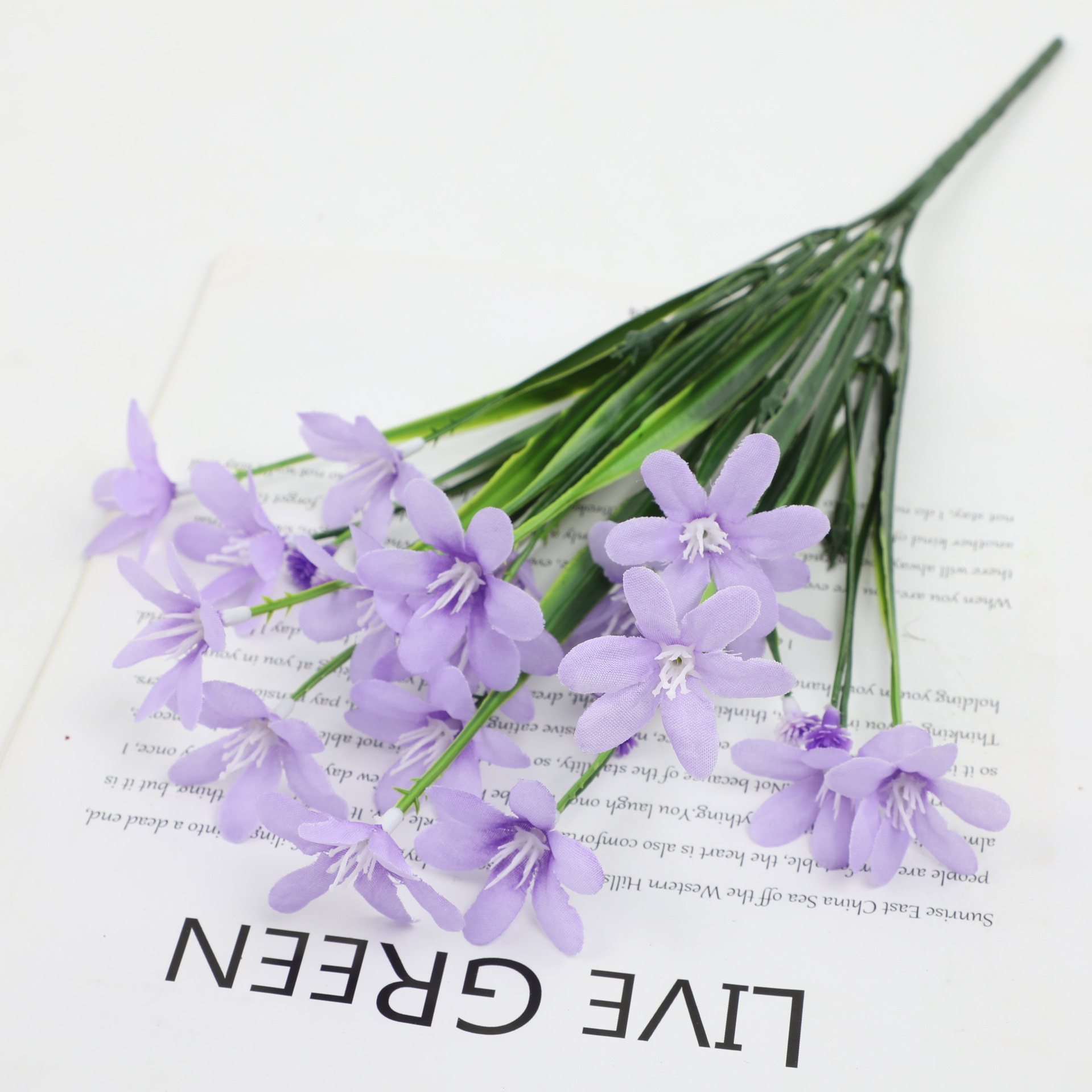 morado3
