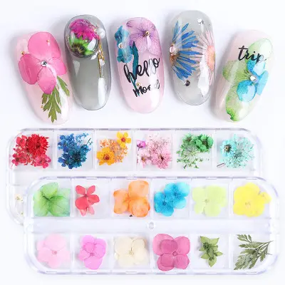 Оптовая продажа, 9 видов, японские листья для ногтей, сушеные 3D настоящие смешанные цветы, наклейки для наконечников, сушеные цветы для ногтей