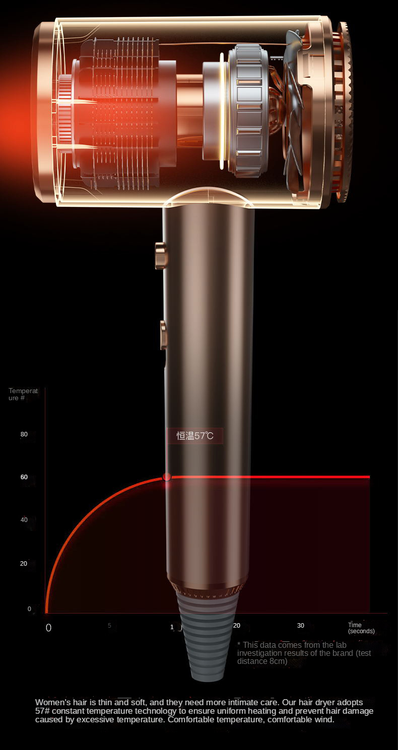 Hair Dryers 2021 Professional Standing Hair Dryer high-power In Stock Ionic Infrared Salon Best Price Hair Dryer hotel household