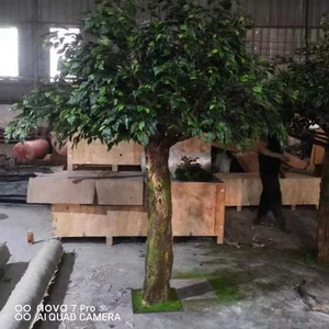 Şekil ağaçları profesyonel üreticisi yapay büyük zeytin ağacı büyük zeytin ağacı düğün film sahneler dekorasyon için - Product Image 4