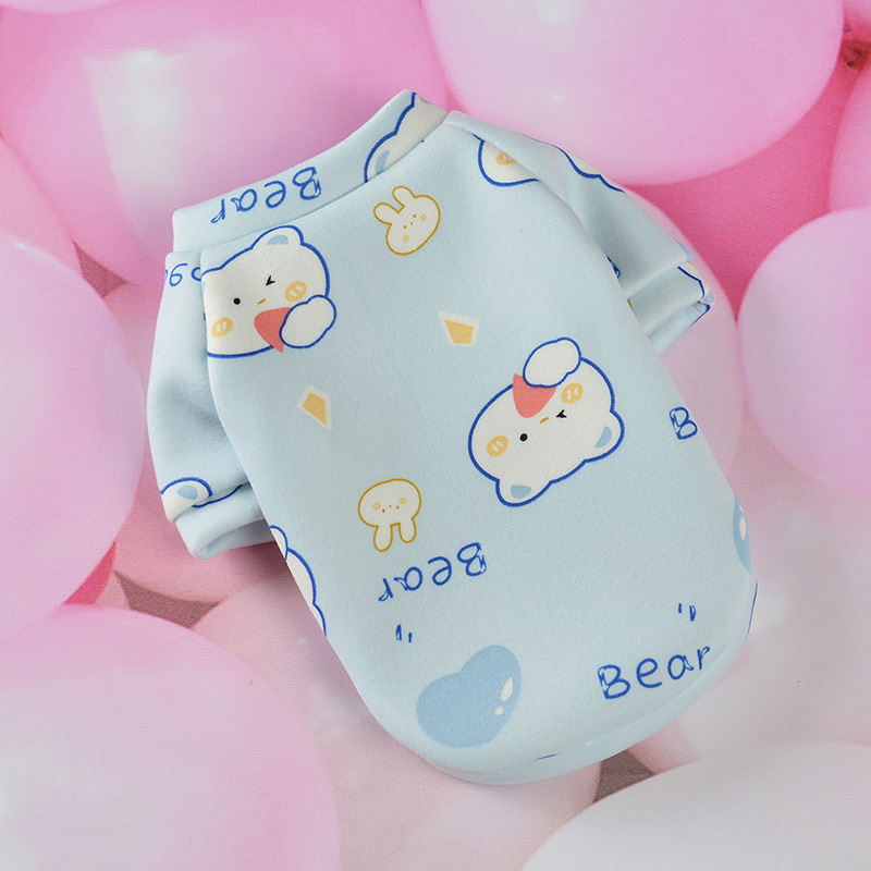 Ours mignon bleu ciel