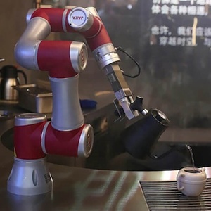 Fast Food Braccio Efort Fanuc Arduino 6 Assi Industriale Robot Giunto Anno Clicbot Robot Kuka - Product Image 4