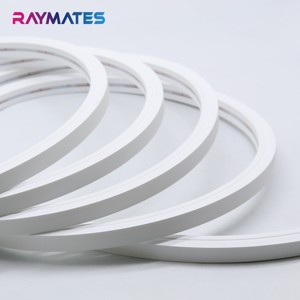 RAYMATES IP67防水100% 硅胶发光二极管条DMX512 RGBW户外装饰用挤出霓虹灯 - Product Image 1