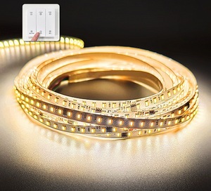 Akıllı uzaktan kumanda 24V iki renkli SMD2835 LED şerit ışık 126LED/m 12 Decoration m bakır gövde LED ışık dekorasyon için - Product Image 3