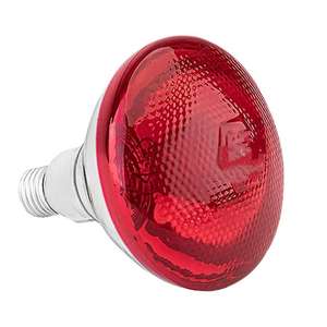 Hot Bán Chất Lượng Cao Đèn Chăn Nuôi Đặc Biệt Nhiệt Bóng Đèn Hồng Ngoại Đèn Gà Lồng Ấp Phụ Kiện Nhiệt Bảo Quản - Product Image 1