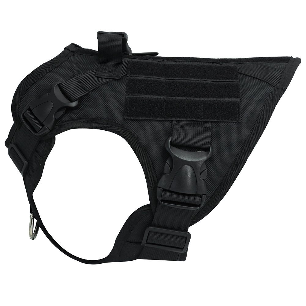 dog vest