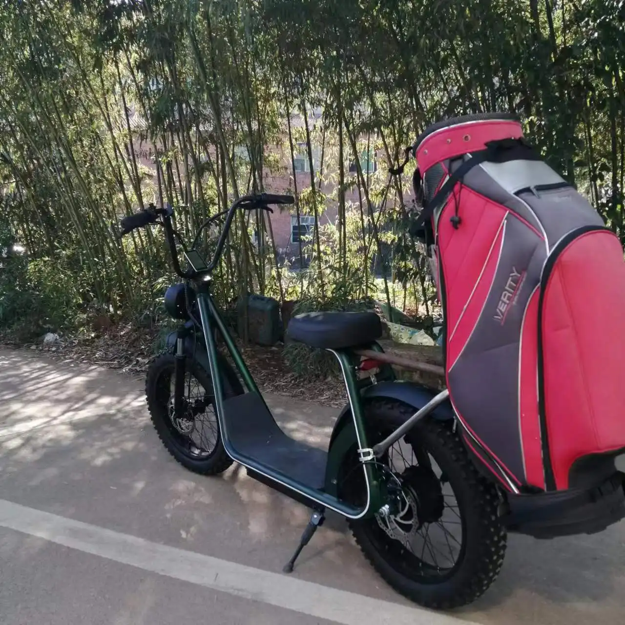 Adult Electric Bicycle 48 v20-Zoll Herren und Damen Scooter Electric Bike Golf Bag