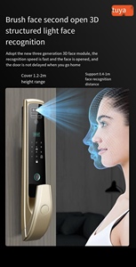 3D Smart Security Holztür schloss Video <span class=keywords><strong>Intercom</strong></span> Biometrischer Finger abdruck Schlüssel <span class=keywords><strong>code</strong></span> leser Aluminium tür Netzwerk App Connected Cloud