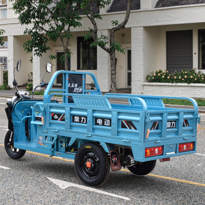 <span class=keywords><strong>Chang</strong></span> <span class=keywords><strong>Li</strong></span> becak listrik bermotor energi baru untuk sepeda roda tiga dewasa untuk dijual - Product Image 2