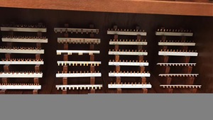 HC-3011P Electrical Copper <strong>Busbar</strong> Terminals 2P 3P <strong>4P</strong> 63A <strong>U</strong> <strong>Type</strong> Power Distribution Equipment 1.5*7&quot; Size - Product Image 5