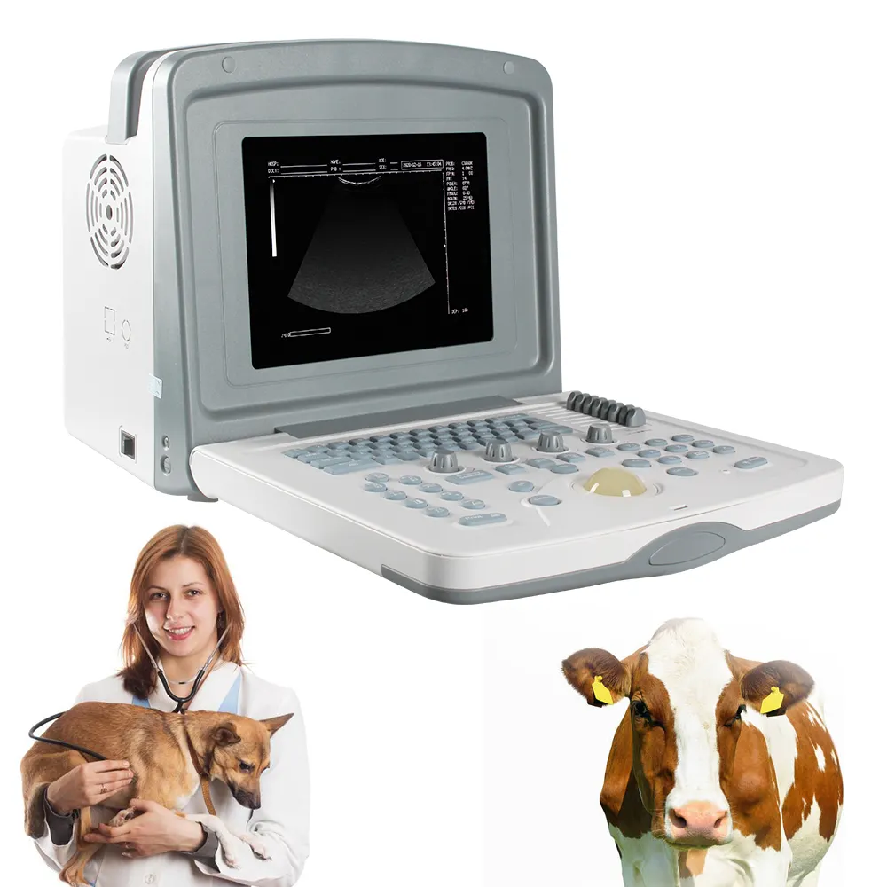 S880Prime VET China-Made Ultrassom Obstétrico Cor Doppler Máquina Dispositivo De Diagnóstico com Transdutor Certificado CE