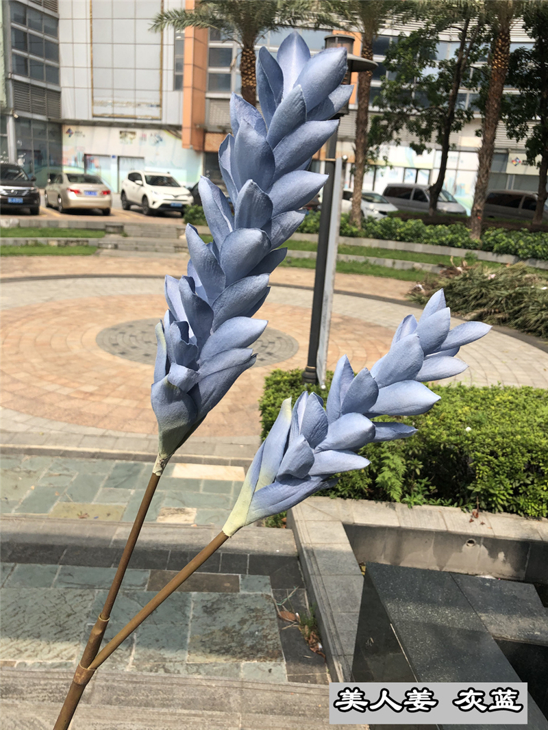 14 blue flowers