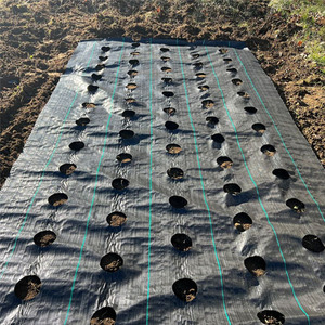 ตาข่ายพลาสติกพีพีสำหรับใช้ในการเกษตรตาข่ายคลุมดินควบคุมแมลงวัสดุ HDPE ปรับแต่งได้ตามต้องการ - Product Image 5