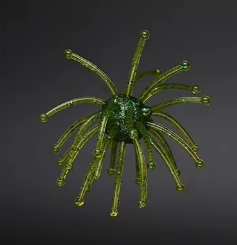 Foncé Vert