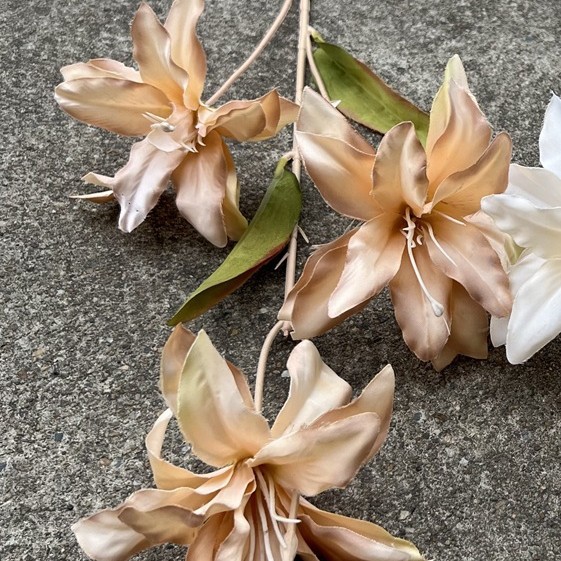 063 tête xiyan lys automne champagne