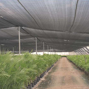 Shade Net Farm Kunststoff Shadow Mesh Net HDPE Gestricktes Black Shade Net für den Gemüseanbau - Product Image 5