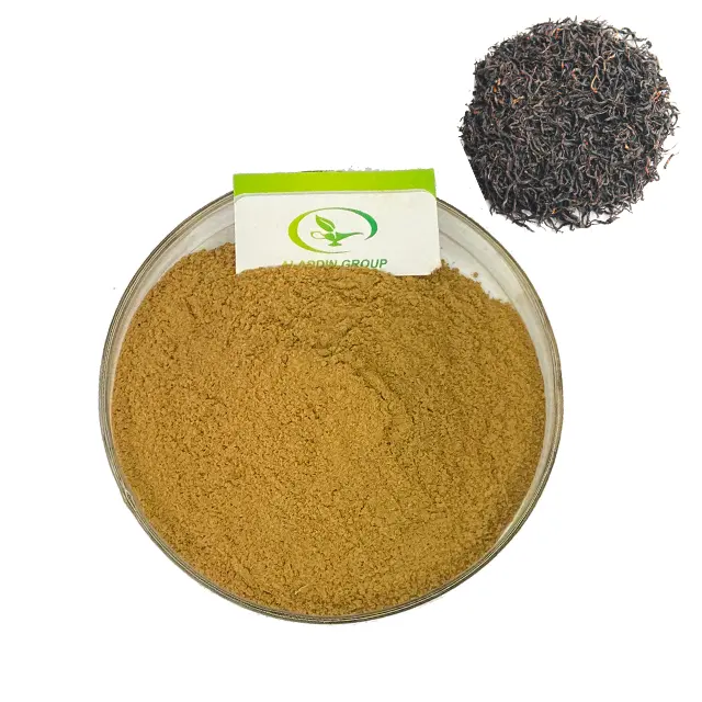 HALAL factory best price top quality wholesale black tea extract powder
