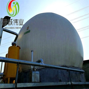 2023 CE certificar doble membrana 10000m3 tanque de almacenamiento de biogás Filtro de biogás desulfuración sistema de control informático criogénico - Product Image 4