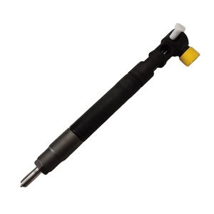 Инжектор Common Rail EMBR00301D для Delphi - Product Image 3